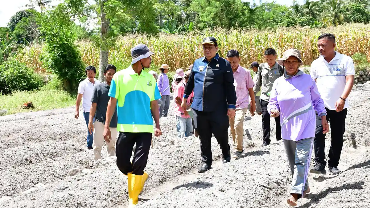 Bersama Poktan Marsada Desa Sampur Toba, Bupati Samosir Lakukan Penanaman Bawang Merah