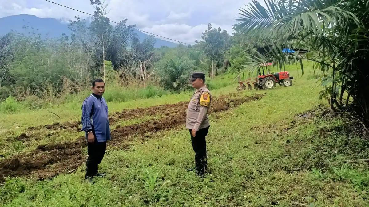 Bhabinkamtibmas Polsek Hutaimbaru Dukung Ketahanan Pangan di Bukit Simarsayang Padangsidimpuan