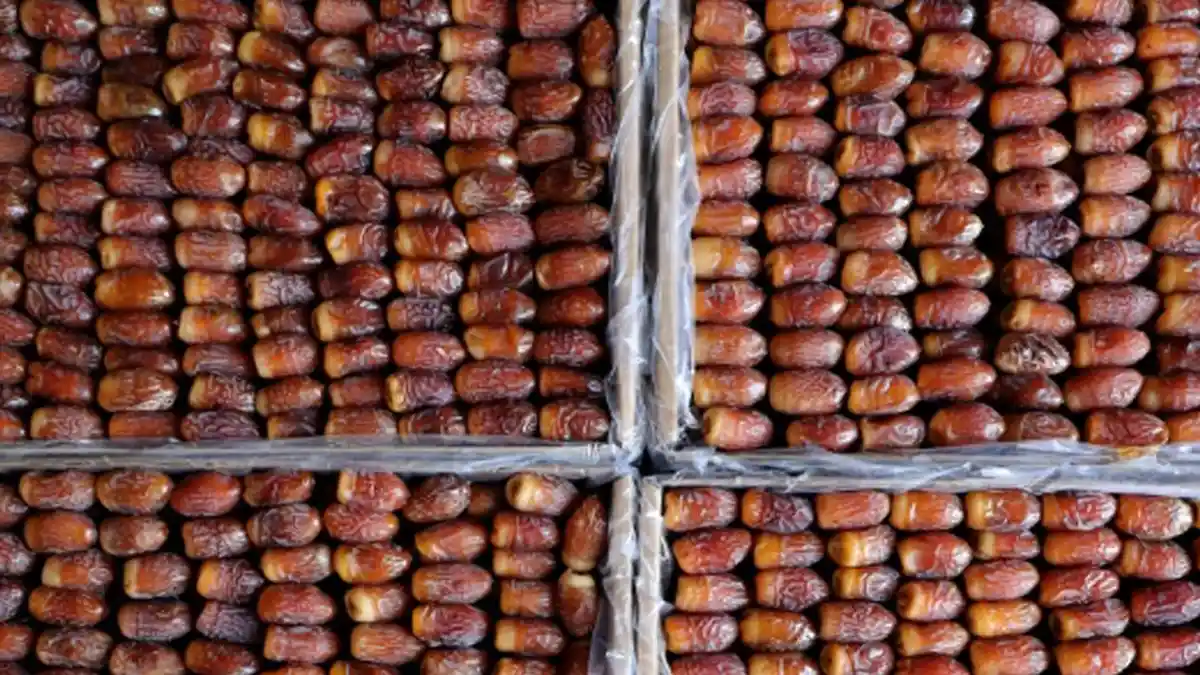 Apakah Kurma Bisa Busuk dan Kedaluwarsa?