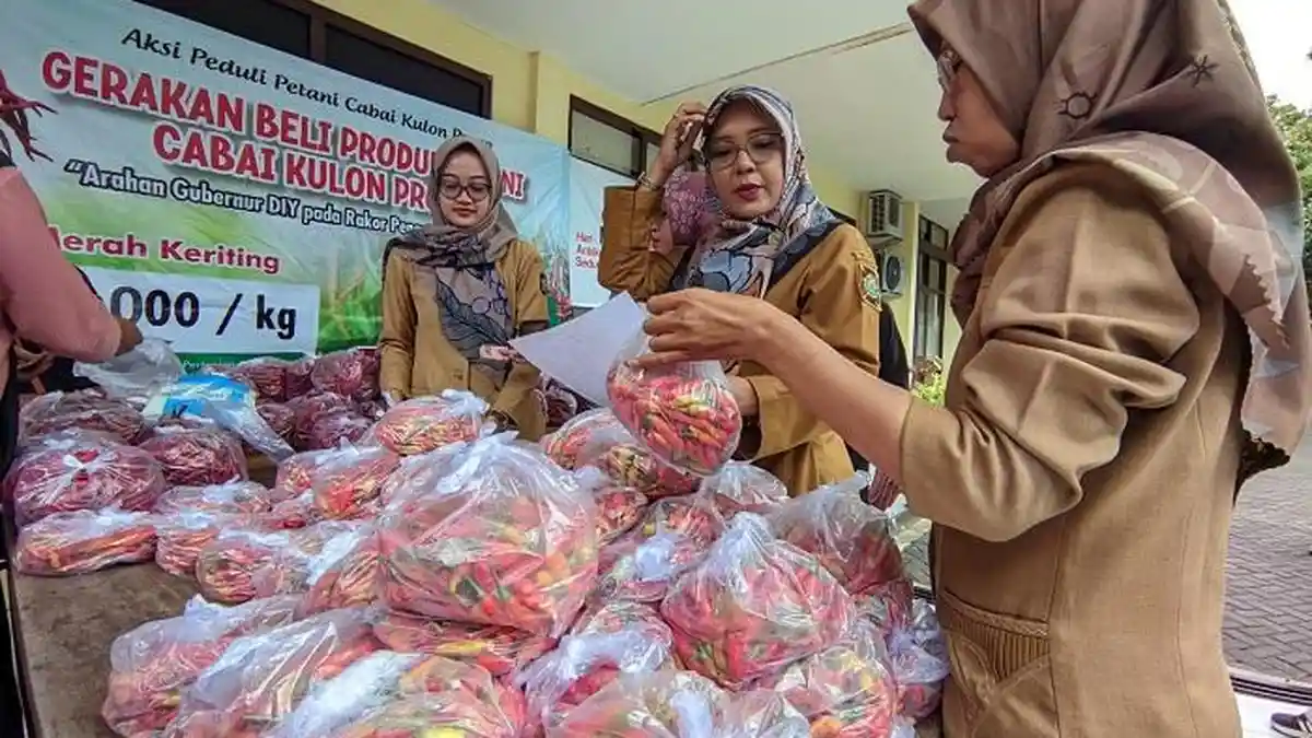 Petani Gelar Pasar Murah Cabai di DPP Kulon Progo, Mulai dari Rp 30 Ribu Per Kilogram