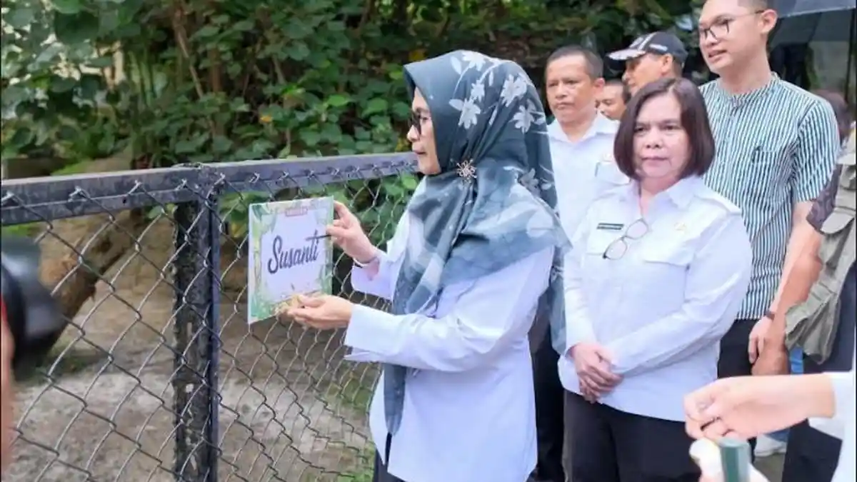 Bayi Tapir Asia Kelahiran Taman Hewan, Diberi Nama Susanti oleh Wali Kota