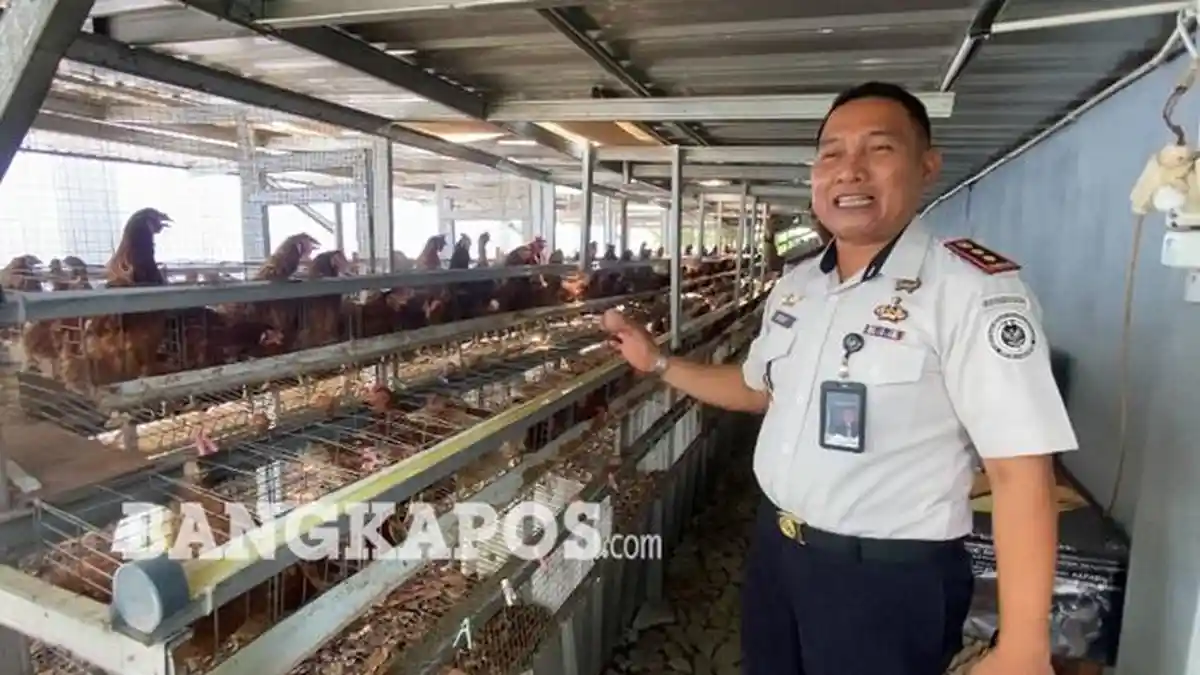 Rutan Mentok Budidayakan 700 Ayam, Hasilkan 300 Telur per Hari