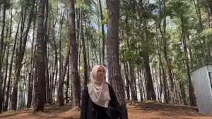 Video-panorama-Hutan-Pinus-Sorombipi-Desa-Lalingato-Kolaka-Timur-Sulawesi-Tenggara.jpg