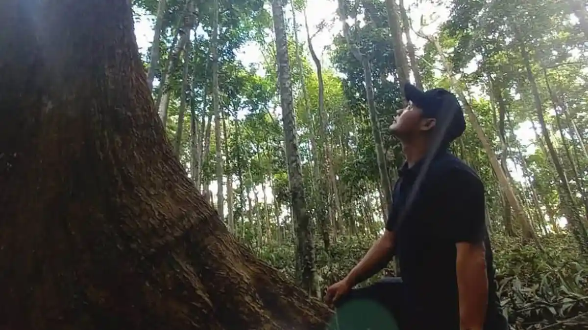 Kawasan Hutan Kota Sarolangun Menyimpan Keanekaragaman Flora Dan Fauna