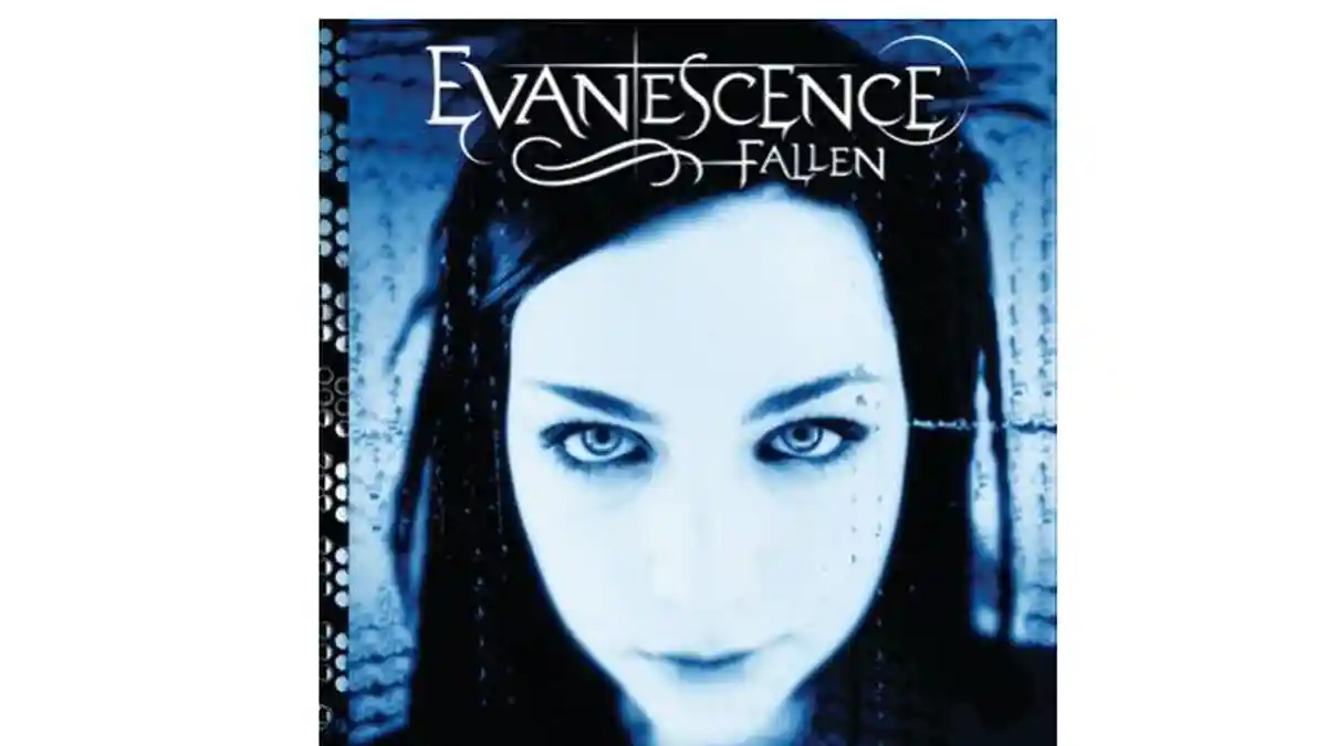 Lirik Lagu dan Terjemahan What You Want - Evanescence: Somewhere Beyond The Pain