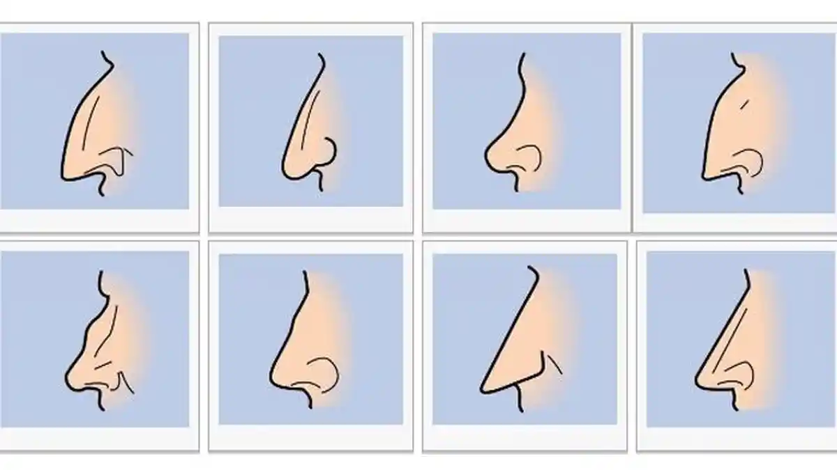 Ternyata Bentuk Hidung Gambarkan Kepribadian Seseorang, Kamu Termasuk yang Mana?