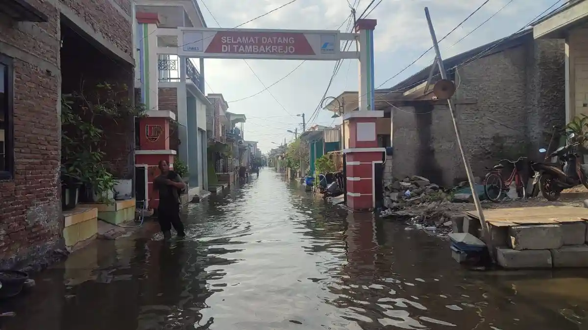 Sheet Pile Rusak, 5 RT di Kelurahan Tanjung Mas Semarang Terendam Banjir Rob