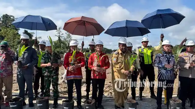 Tribun
