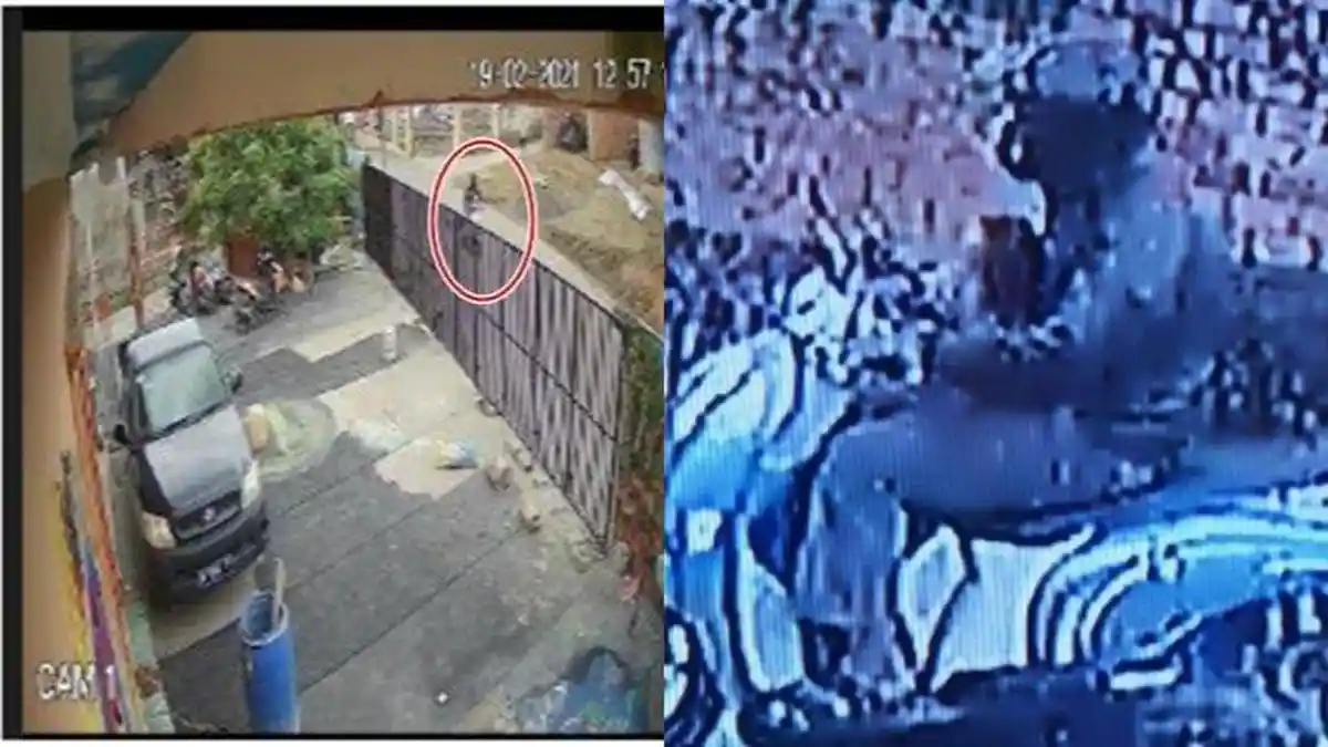 Sempat Viral, Bocah 4 Tahun Korban Penculikan Sudah Ditemukan, Begini Kondisinya