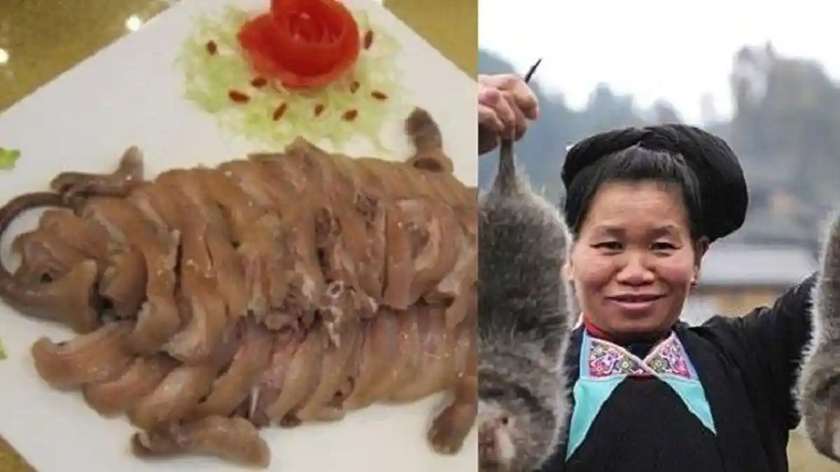BUKANNYA Jijik, Wanita China Justru Makan Tikus Bisa Bikin Cantik, Jenis Paling Dicari Obat Corona