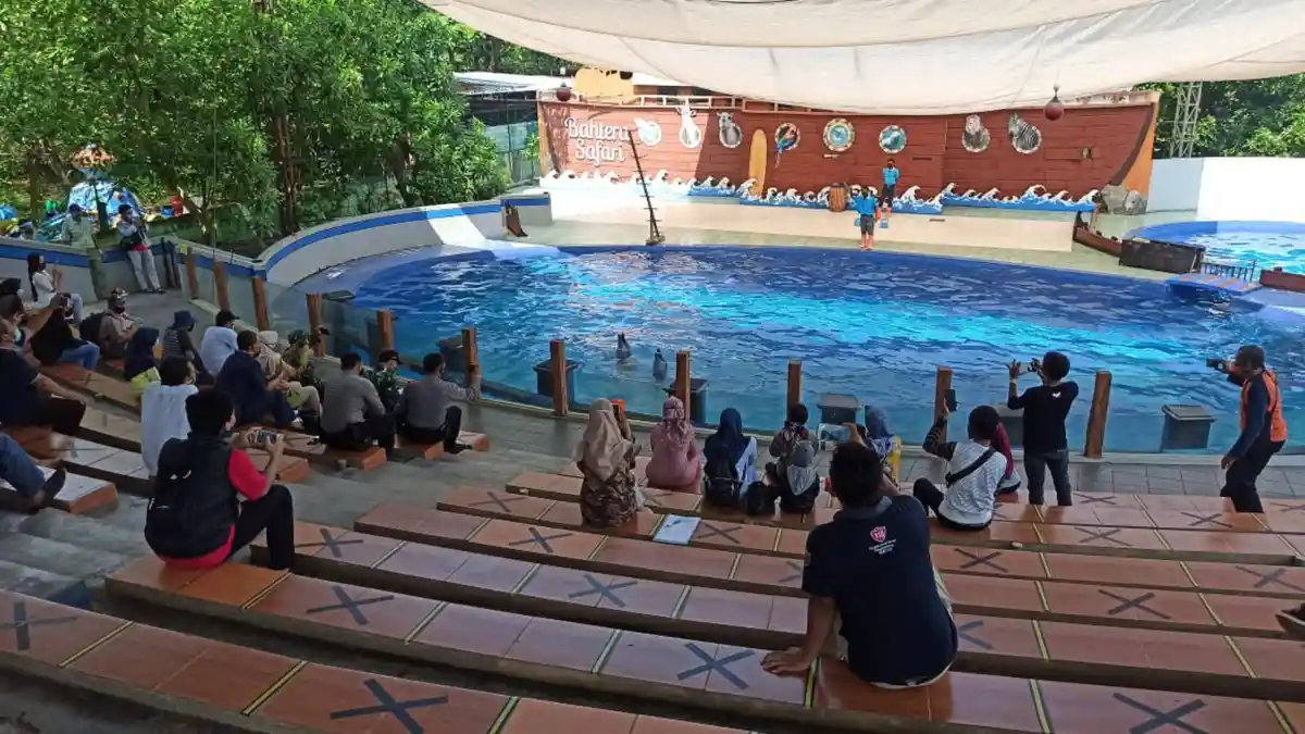 Pengelola Batang Dolphin Center 'Mbengok' Tiada Pemasukan Selama PPKM Darurat
