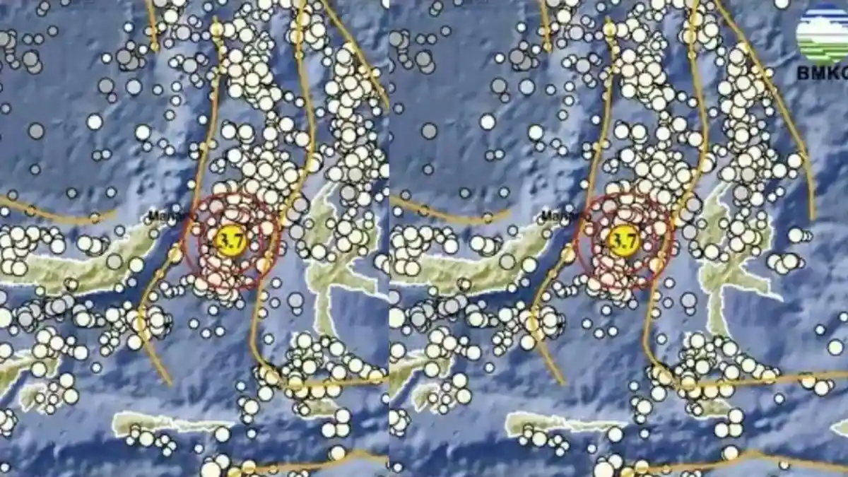 Info Terkini Gempa Bumi Magnitudo 3,7 Guncang Ternate Malut Kedalaman 26 Km