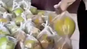 Heboh Kasus MBG di Muara Badak Berisi Kelapa Muda, Pengelola Dapur Beberkan Fakta Soal Menu Asli