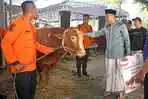 Wali-Kota-Surabaya-Eri-Cahyadi-penyaluran-sapi-kurban-milik-Presiden-Prabowo-Subianto.jpg