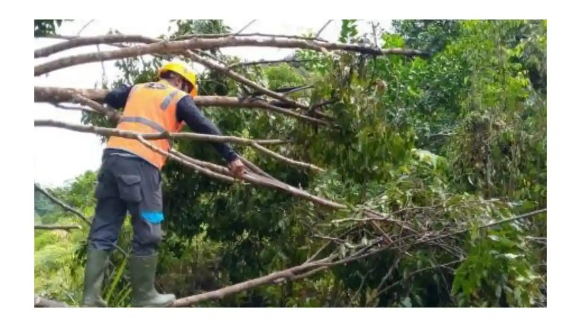 PLN ULP Kairatu Pulihkan Listrik di Inamosol Pasca Cuaca Ekstrem, Suplai Kembali Normal dalam Sehari - gangguan-listrik-perbaikan-2.jpg