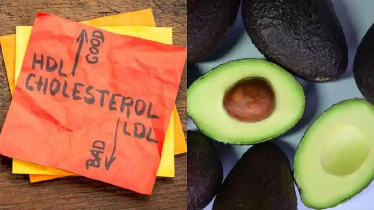 Cara Menurunkan Kolesterol Setelah Lebaran Secara Alami, Bisa Pakai Buah Alpukat
