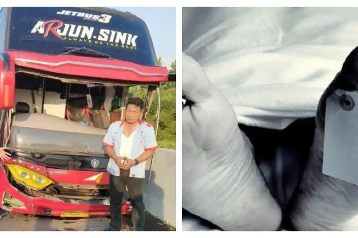 Kecelakaan Hari Ini di Tol Cipali: Sopir Bus Gagal Nyalip Hingga Tabrak Pagar, Sang Kernet Tewas