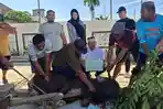 Pengusaha Gorontalo Andi Ilham Salurkan 500 Paket Kurban, Bagi ke Panti Asuhan dan Disabilitas