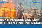 Pembalakan-Liar-26638.jpg