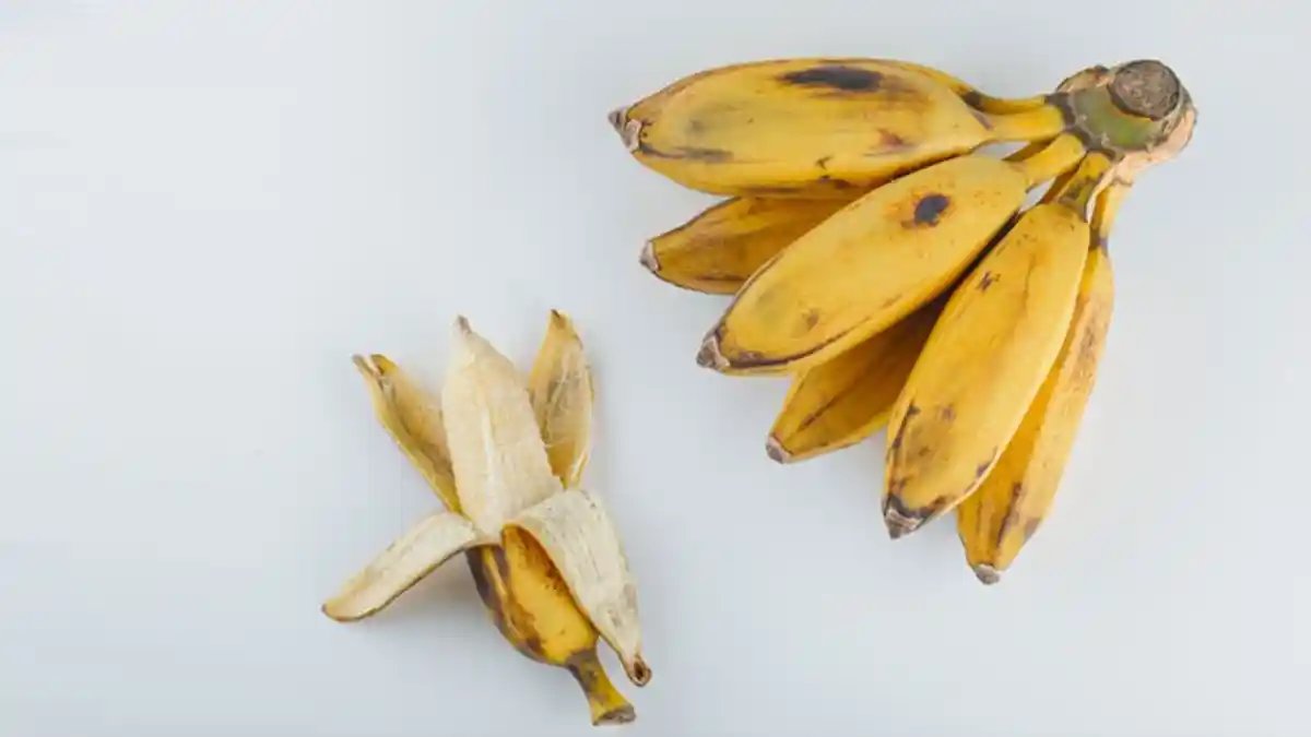 Malas Santap Nasi / Sahur Mepet? Bisa Ganti dengan Makanan Simpel Ini, Dijamin Kenyang, Ada Pisang
