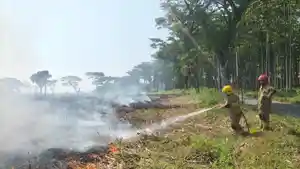 Suasana-pemadaman-kebakaran-di-lahan-tebu.jpg