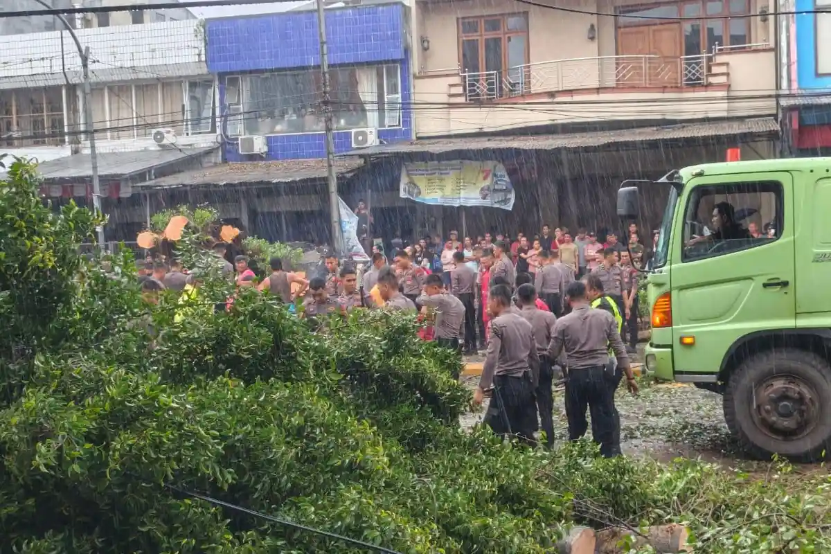 Listrik Padam Imbas Pohon Tumbang di Jalan RW Mongisidi Manado Sulut