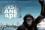 sinopsis-film-rise-of-the-planet-of-the-apes-111.jpg