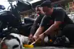 Memberi Makan Kucing Liar di Pasar Hewan Splendid Malang