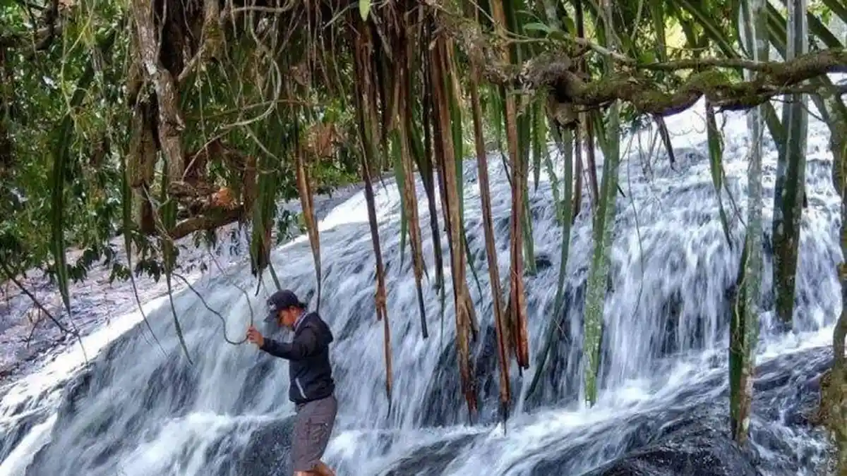 22 Desa di Kecamatan Jelai Hulu Ketapang, Lengkap dengan Kode Pos