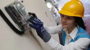 Ilustrasi-staff-sedang-cek-meteran-listrik-PLN.jpg