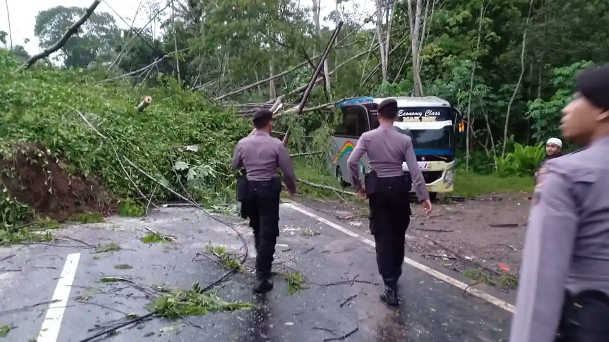 BREAKING NEWS - Jalan Magelang-Purworejo Tertutup Tanah Longsor Dekat Simpang Manglong