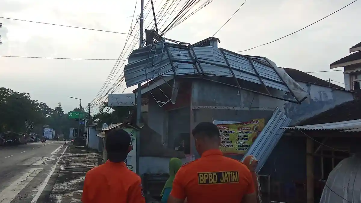 Cuaca Ekstrem di Bondowoso, Belasan Rumah Rusak dan Pohon Tumbang