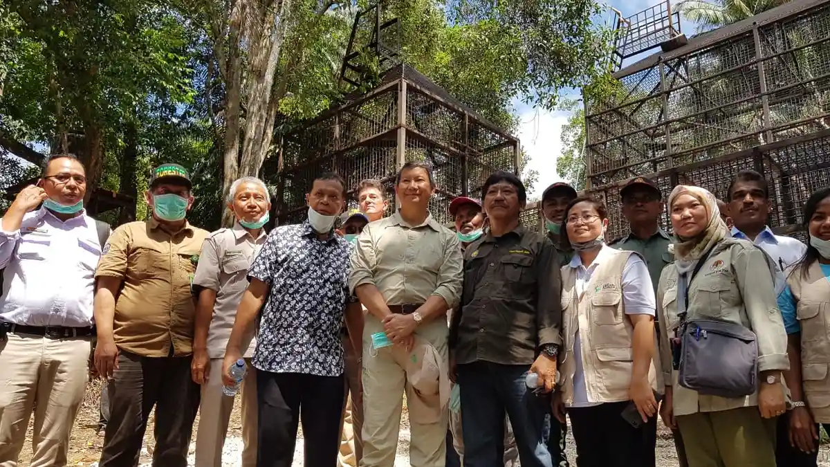 Adik Prabowo, Hashim Djojohadikusumo Terima Dua Orangutan Kalimantan dari BKSDA Sulawesi Utara