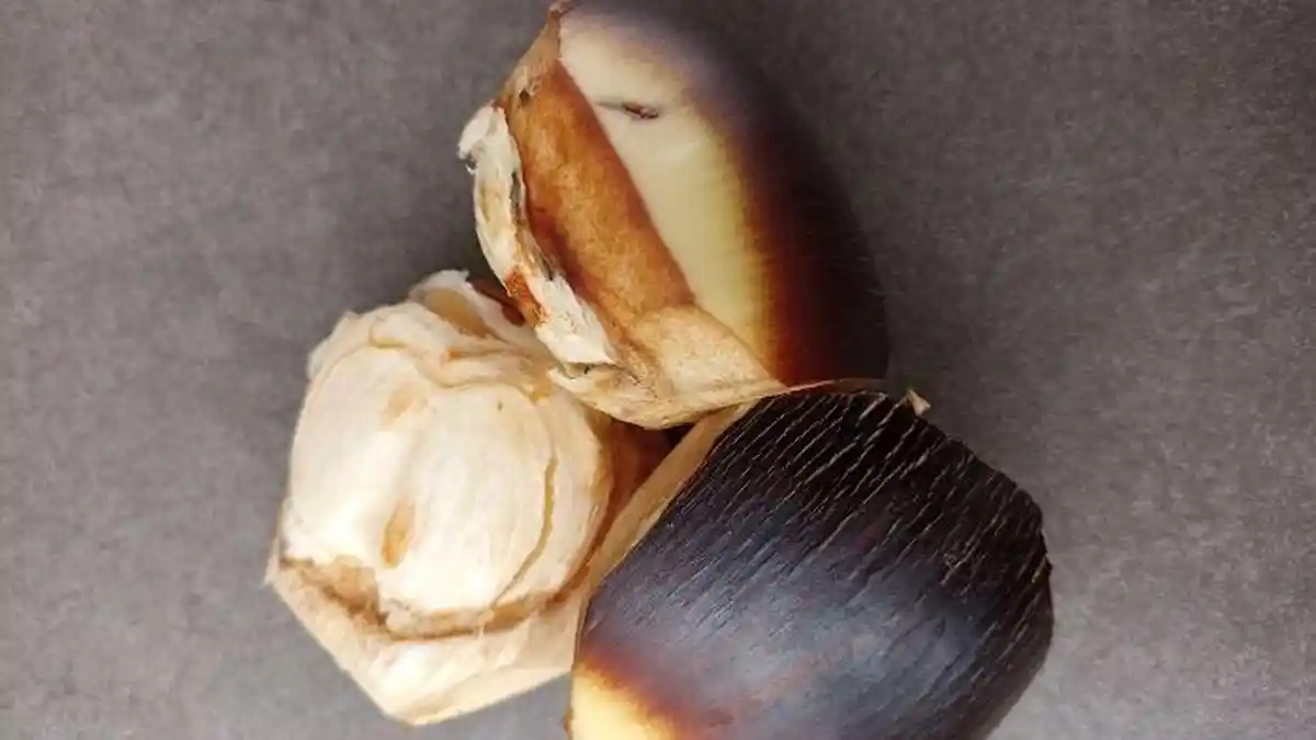 Review Buah Lontar di Mataram, Mulai Harga hingga Rasa