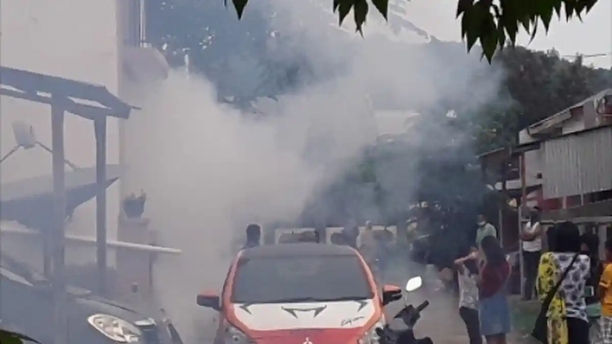 BREAKING NEWS ! Deman Berdarah Berkecamuk di Manggarai Barat! 241 Warga Terancam