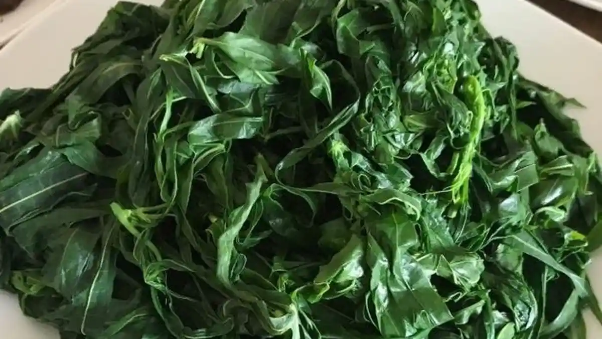 Manfaat Konsumsi Daun Singkong Rebus, Salah Satunya Bisa Obati Diare dan Anemia