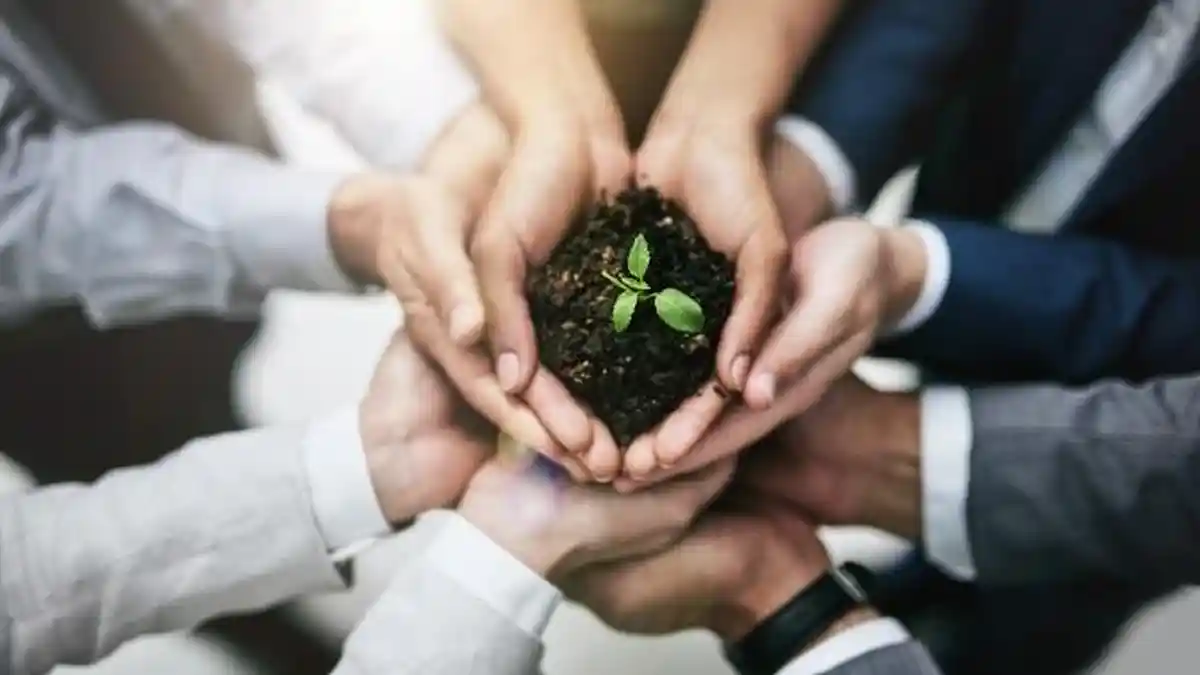 Pebisnis Ingin Dukung Progres Net Zero di Indonesia? Saatnya Lakukan 3 Strategi Ini!