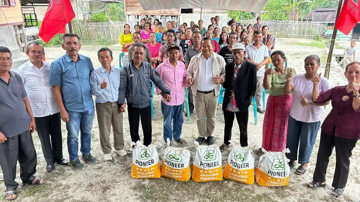 Semangat Petani Samosir Sambut Benih Unggul PDIP Sumut
