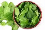 bayam-obat-menurunkan-berat-badan.jpg