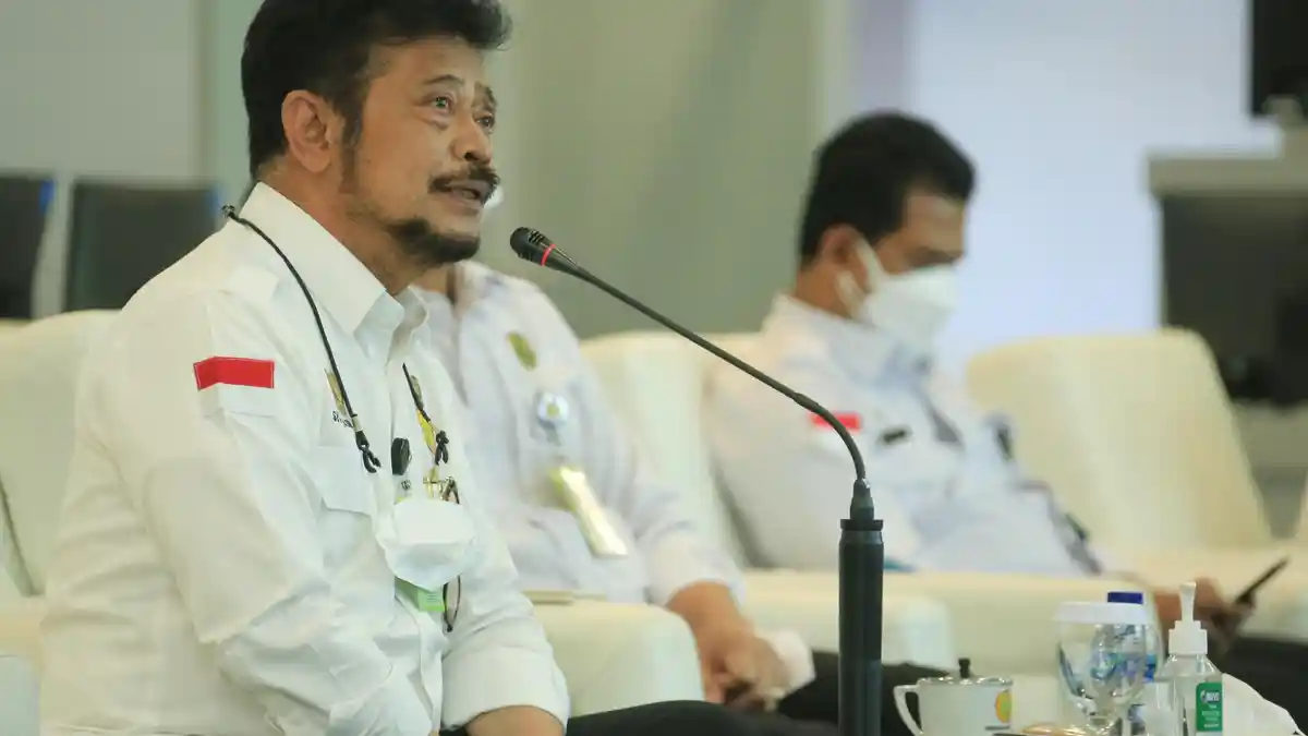 Ratusan Hektar Sawah di Manggarai Barat Kekeringan, Kementan Ingatkan AUTP