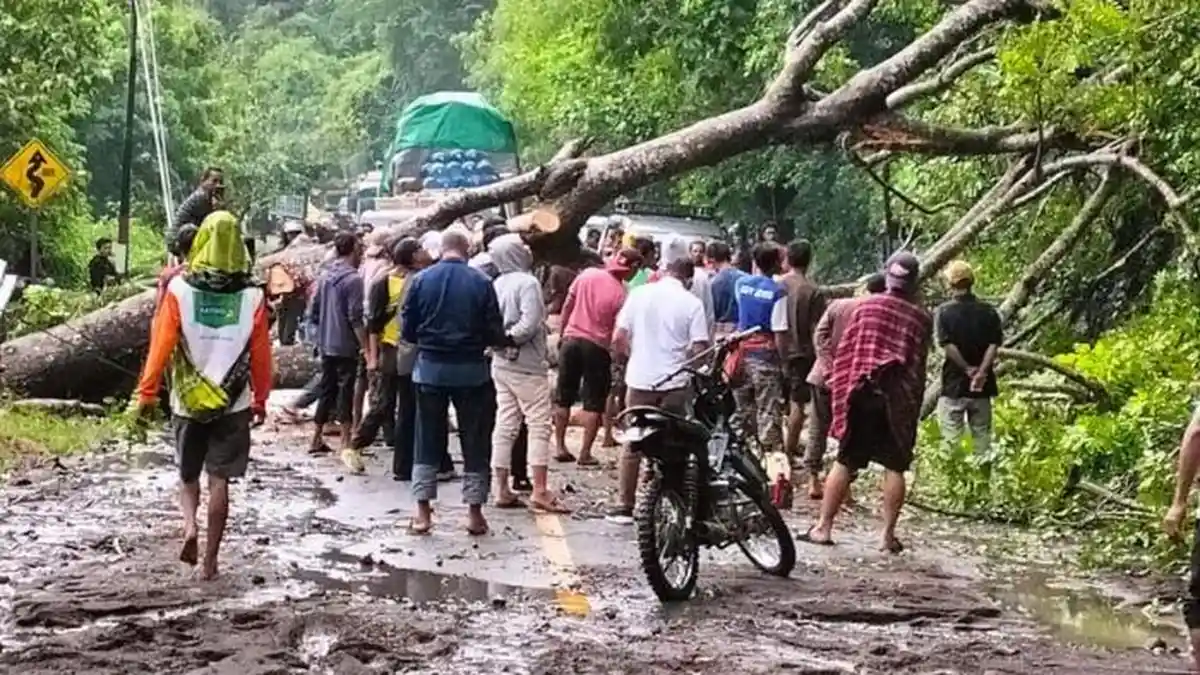 Longsor di Nanga Tumpu Dompu, Bus AKAP dan Kendaraan Lain Tertahan