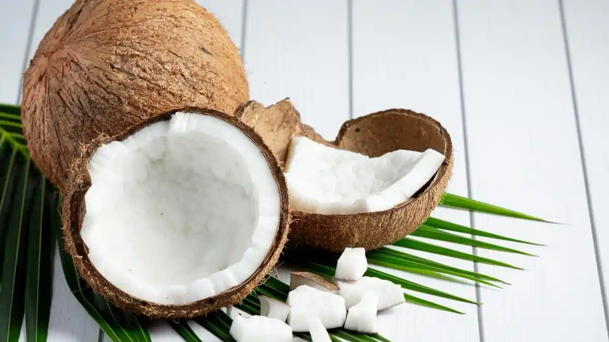 Wajib Tahu, Ini Tiga Manfaat Daging Buah Kelapa untuk Kesehatan
