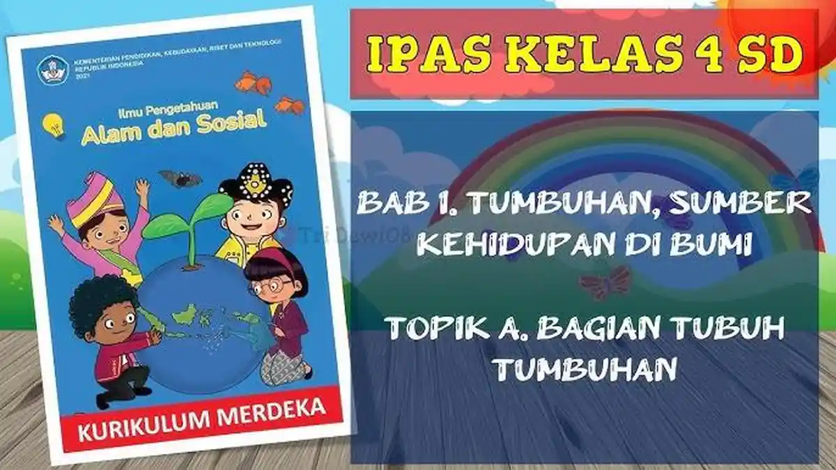 30 Kunci Jawaban IPAS Kelas 4 SD/MI, Soal PAS Ilmu Pengetahuan Alam dan ...