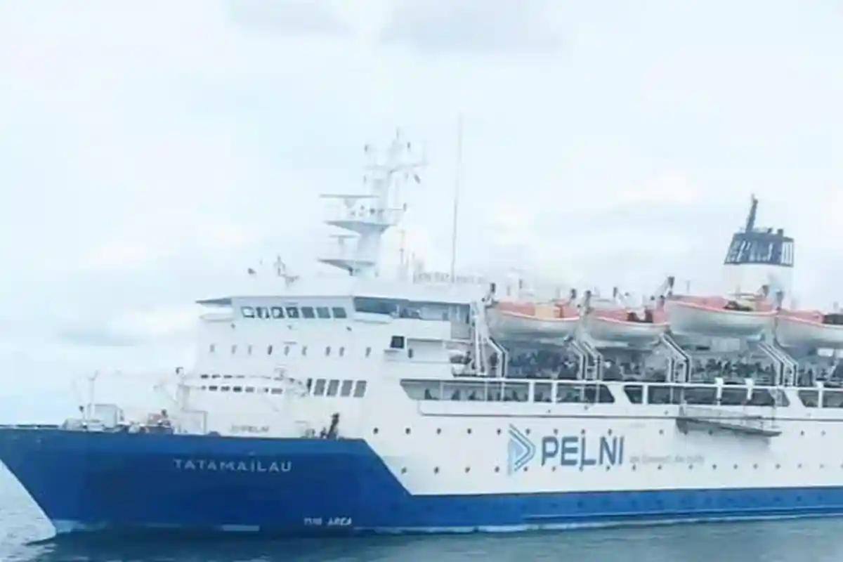 Jadwal Kapal Sorong Bitung Bulan Desember 2024, Harga Tiket Mulai Rp 400 Ribuan