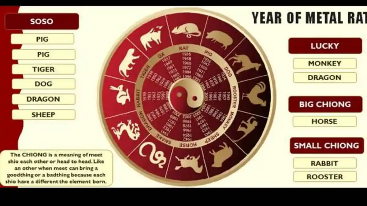 Horoskop China Maret 2022, Peruntungan 12 Shio di Tahun Macan Air, Banyak Hoki untuk Kelinci