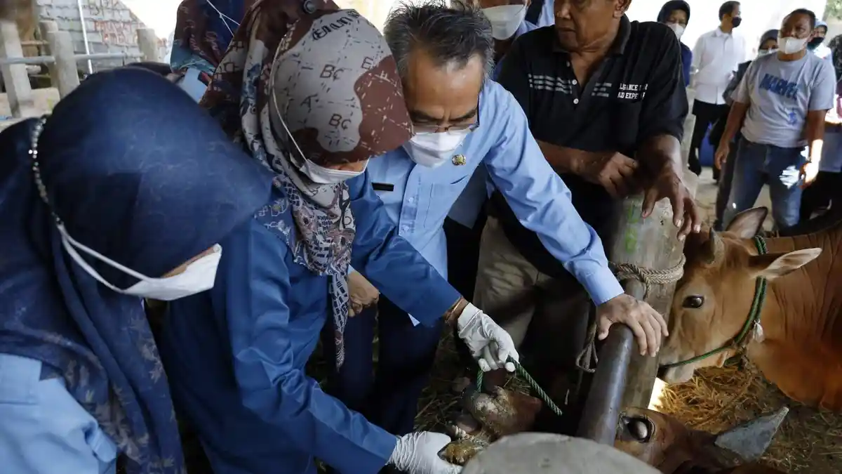 Bupati Halim Pastikan Ketersediaan Hewan Kurban di Bantul Aman dan Berlebih