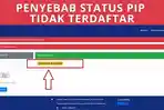 Tampilan-pengecekan-data-PIP-2024.jpg