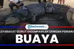 Video-Tumbnail-buaya-diseret-ke-darat-oleh-warga.jpg