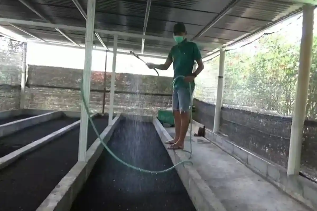 Beralih jadi Peternak Cacing Akibat Pandemi, Pria Ini Raup Omzet Jutaan Rupiah per Bulan 