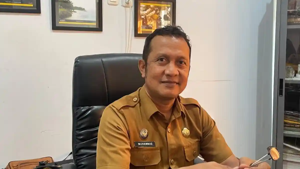 Festival Temu Lempeng 2025, Siap Digelar di Desa Siweli Donggala, Suarakan Isu Lingkungan